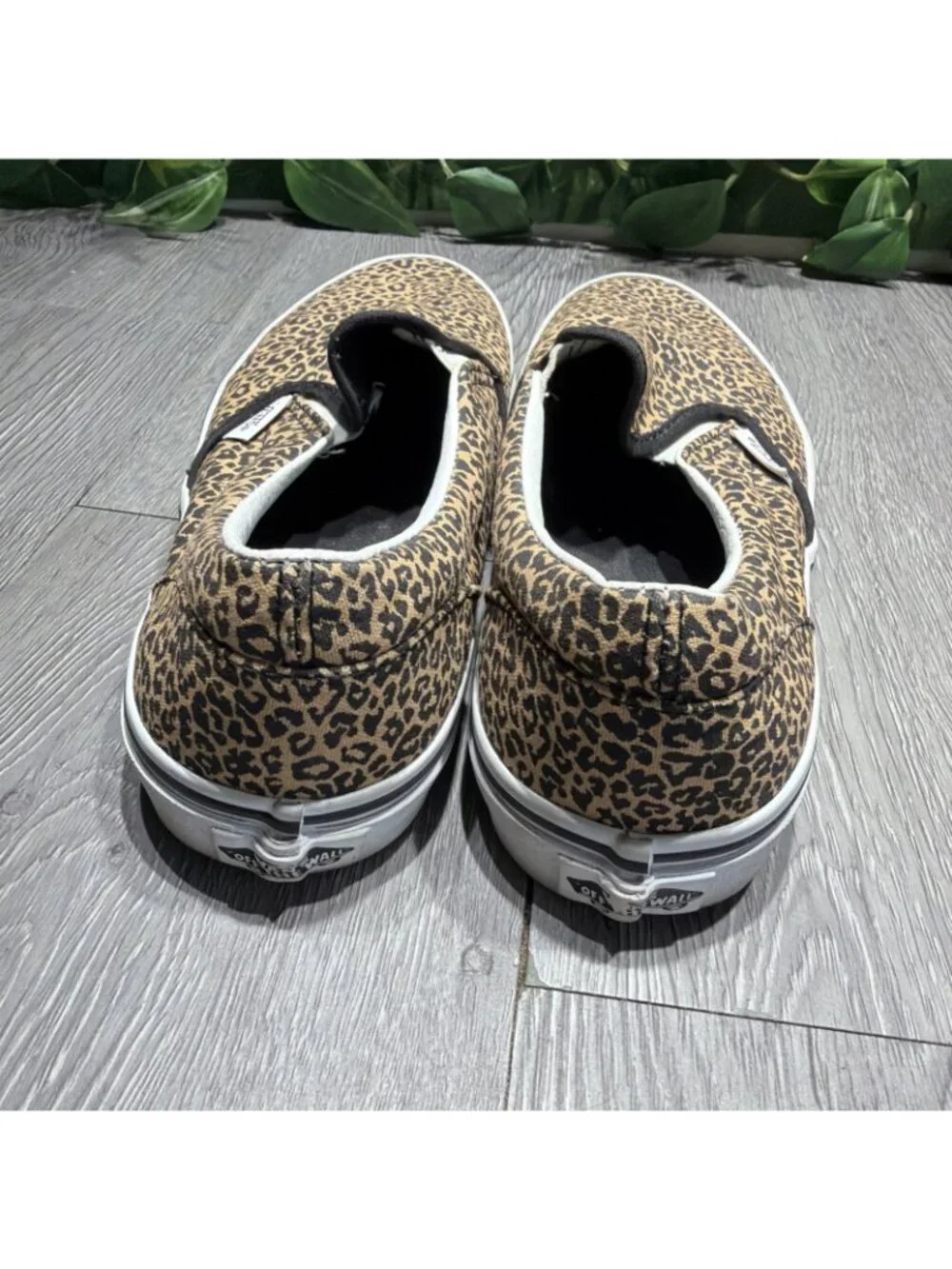 Vans please check